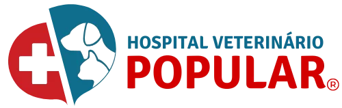 Hovep - Timóteo
